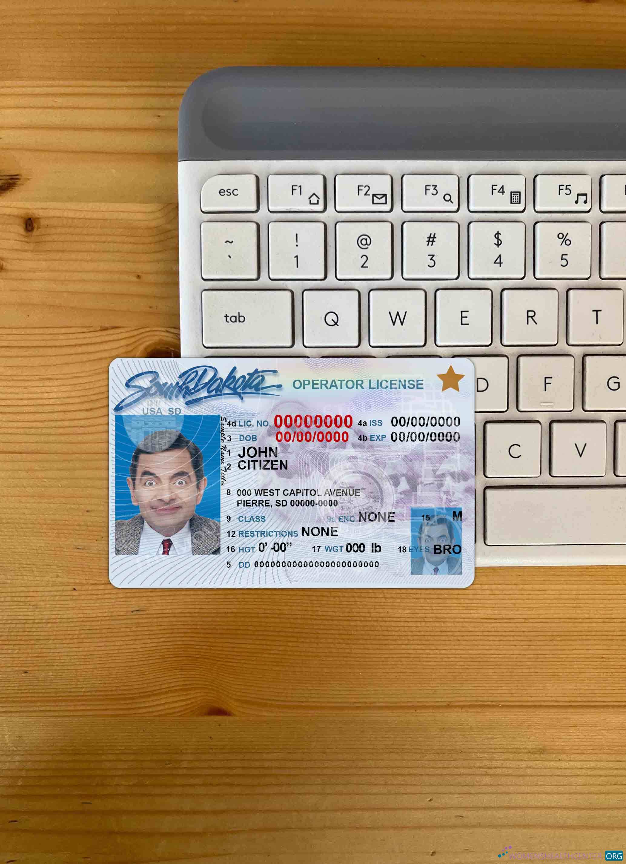 Download USA South Dakota DL photolook FRONT Photoshop template